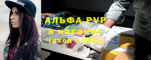 стаф Михайлов